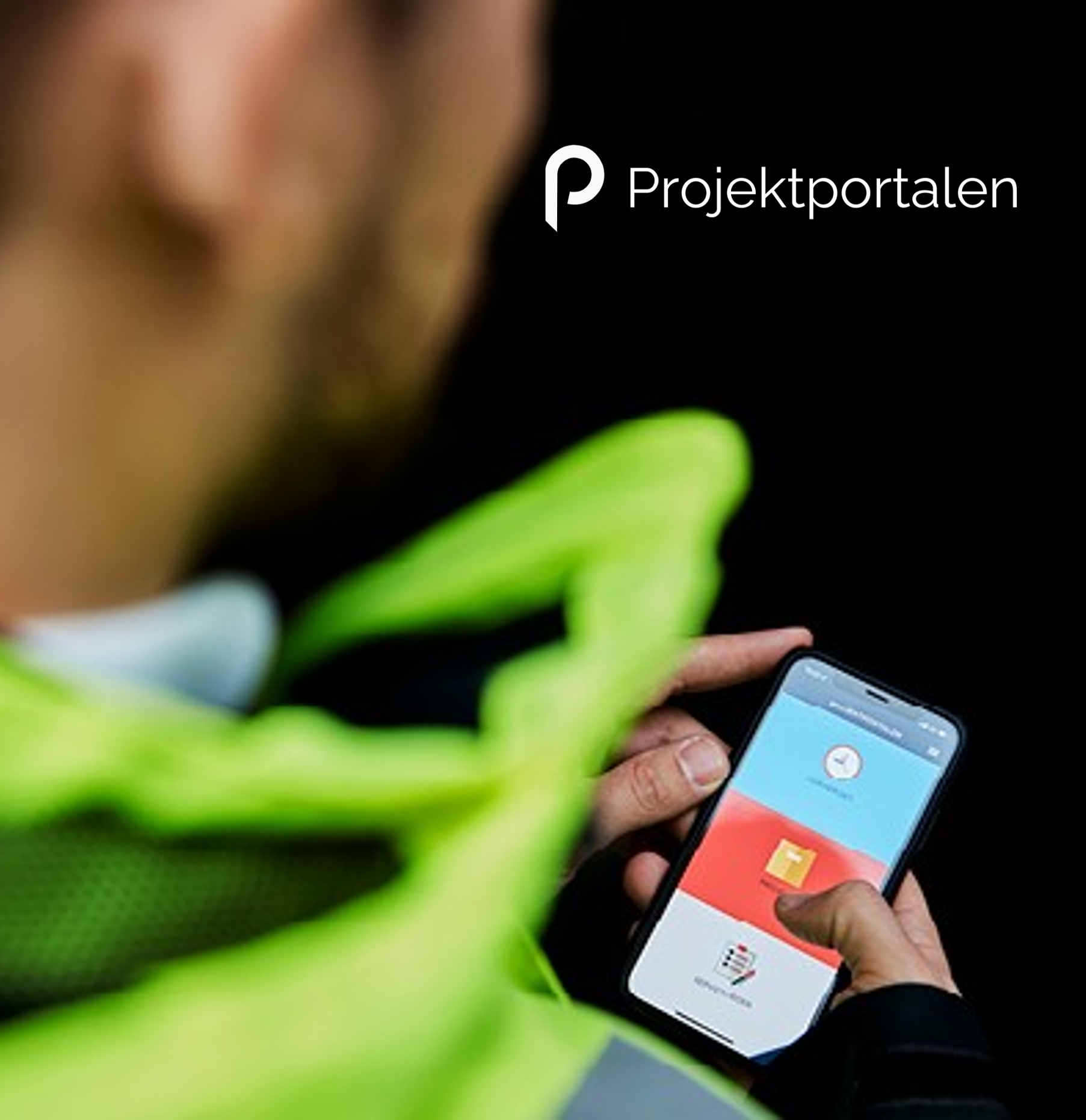 Projektportalen For LI