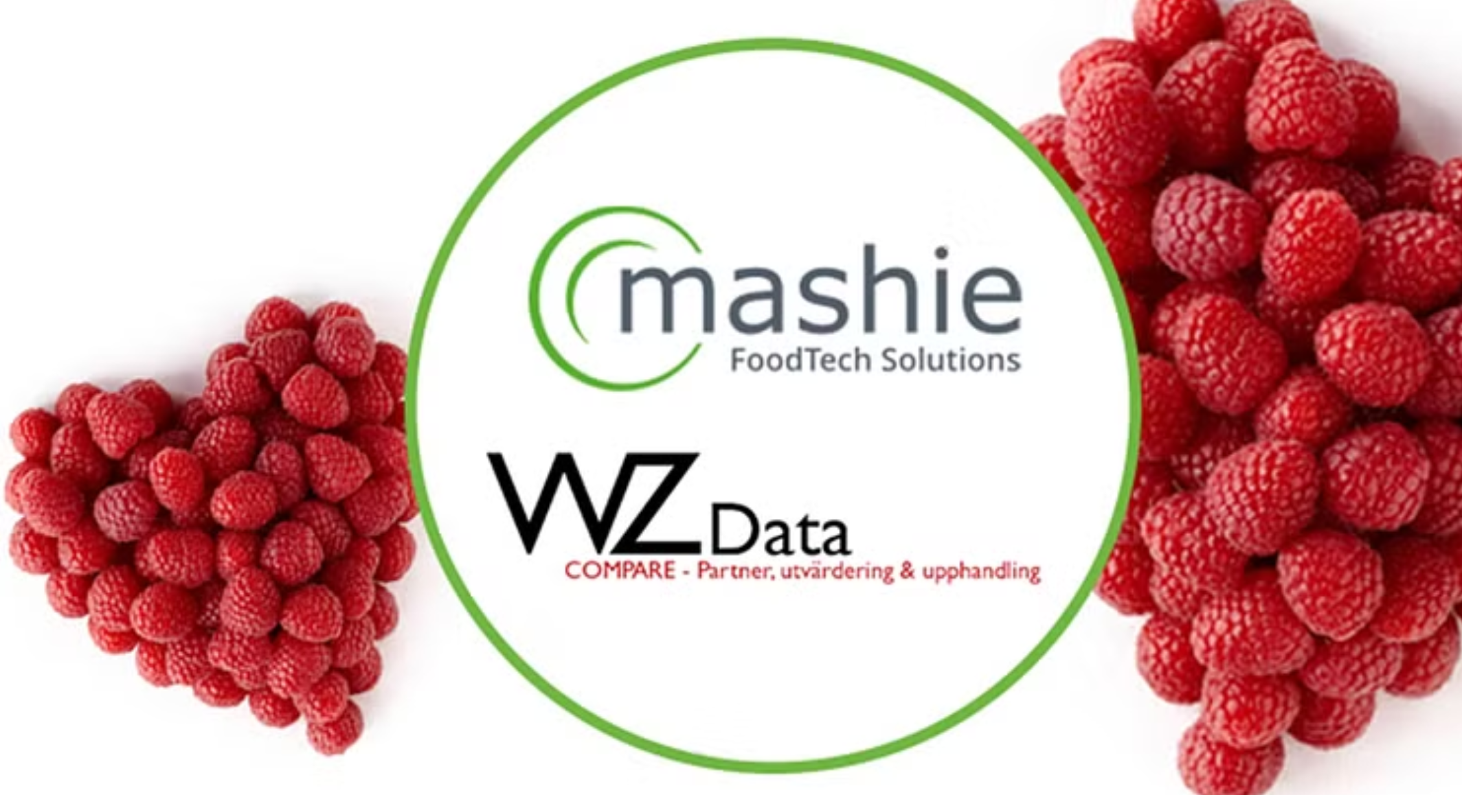 Mashie And WZ Data Merge