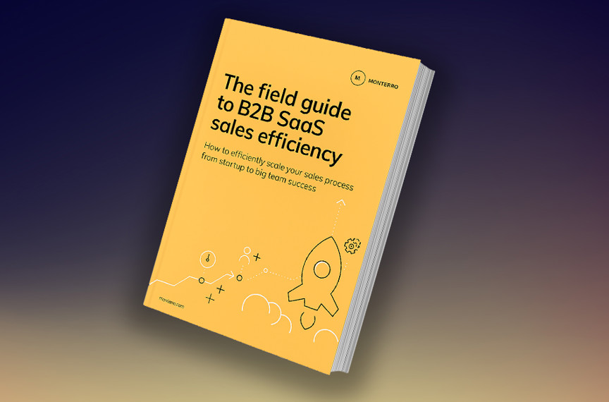 Ebooks Website Sales Efficiency