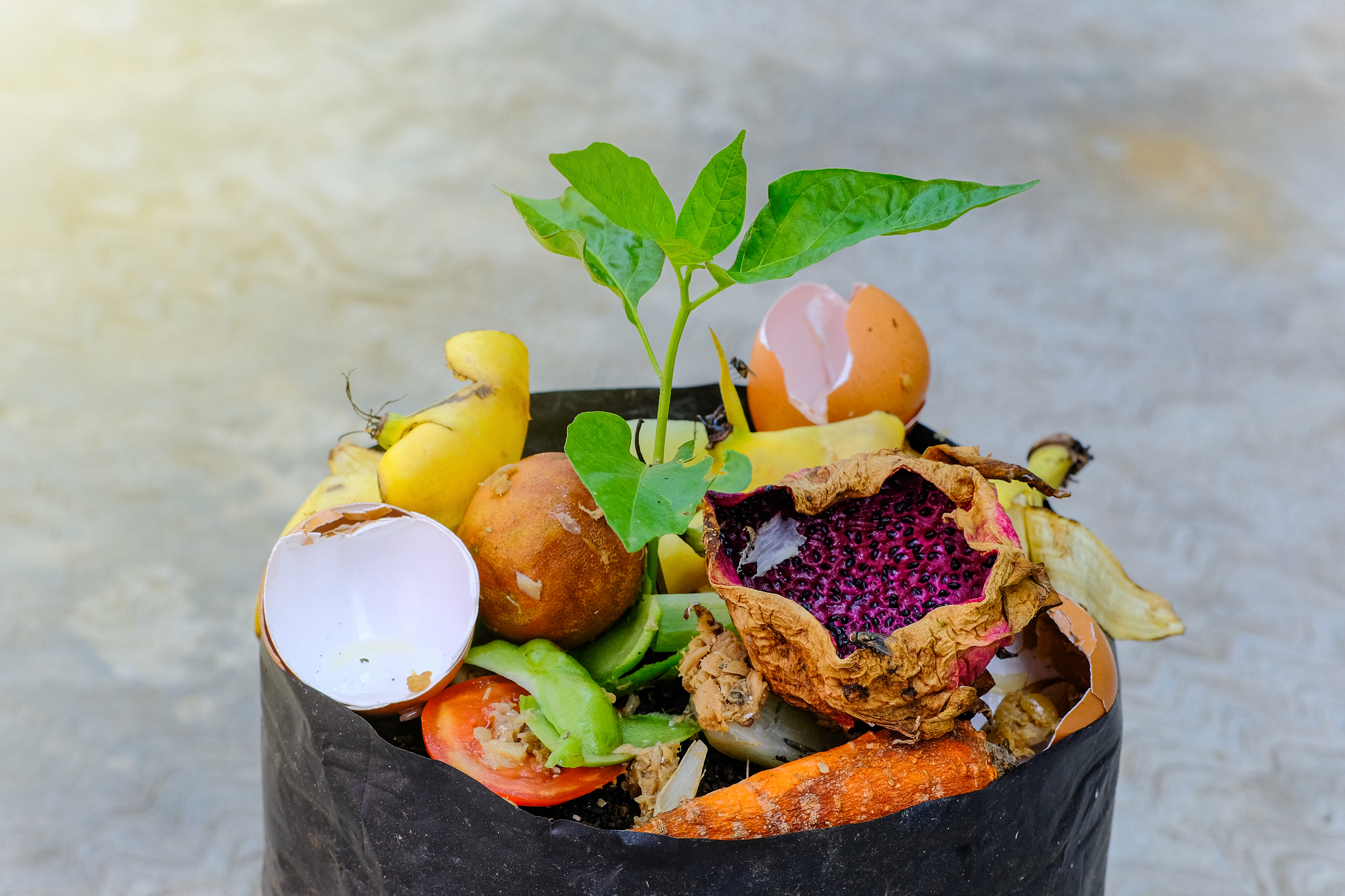 Matilda Foodtech Foodwaste