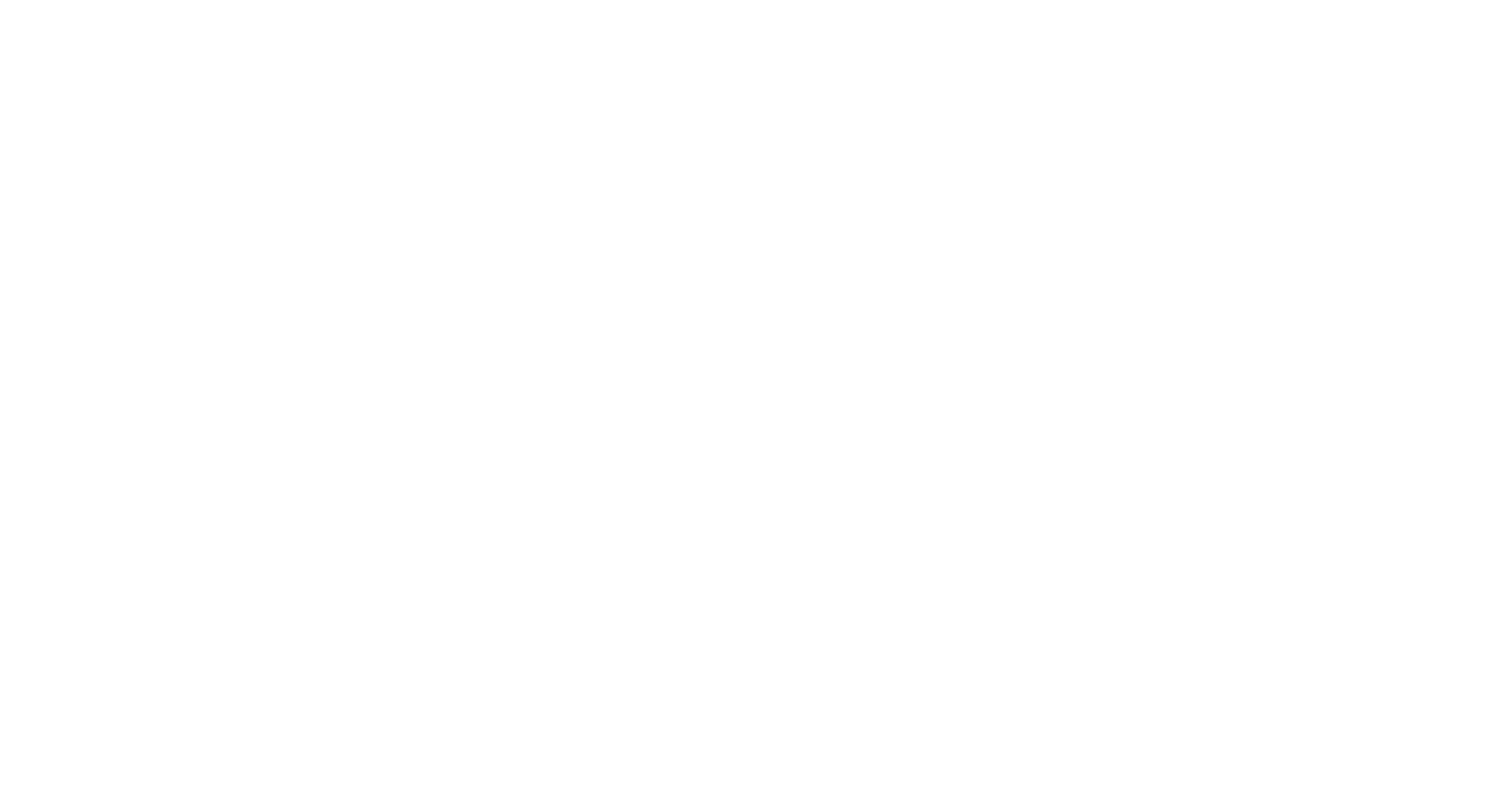 DNB Carnegie White CMYK